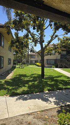 Country Hills Apartments