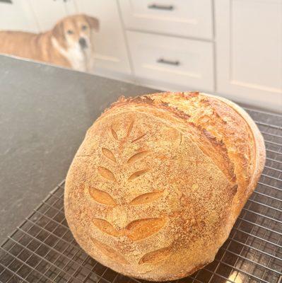 Waye To Dough Sourdough