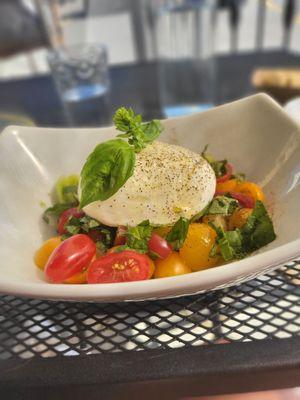 Burrata salad with tomatoes  and basil