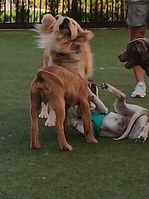 Hanover Tuscan Village