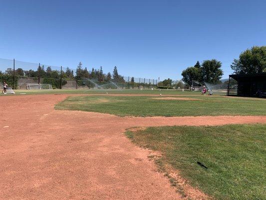 Newly redone baseball fields. Watering midday?!