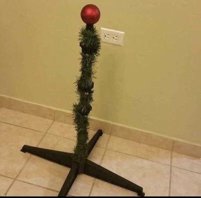 A great example of what you can see at QOHS