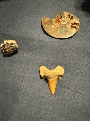 Khairzada’s Gems & Rugs