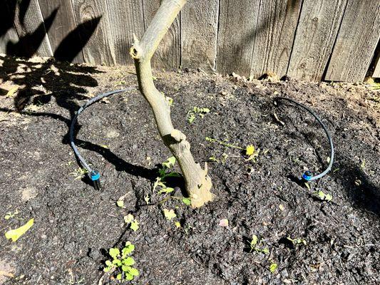 Irritech Sprinkler Repair