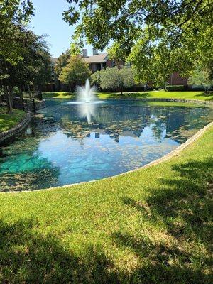 Gutiz landscape services