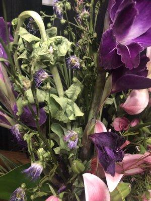 Wilted flowers 30 hours later?!?