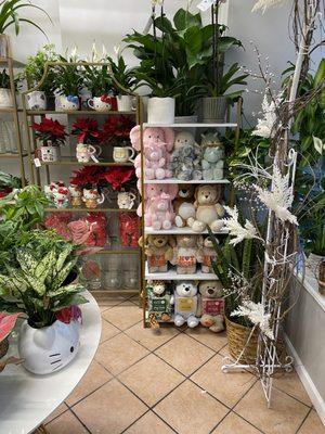 Blooming florist shop