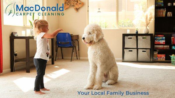 MacDonald Carpet Cleaning