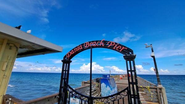 Impromptu spot and nice seagull with his pigeon buddy