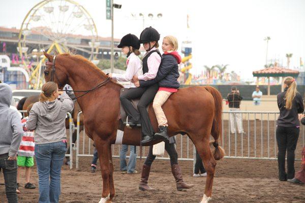 Sabino Equestrian Center