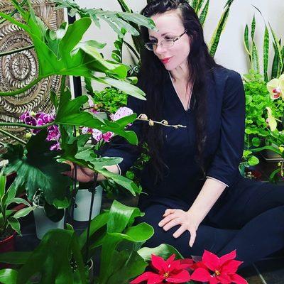 Welcome to Maison Papillon. I wanted to share the calm serenity of our space with you