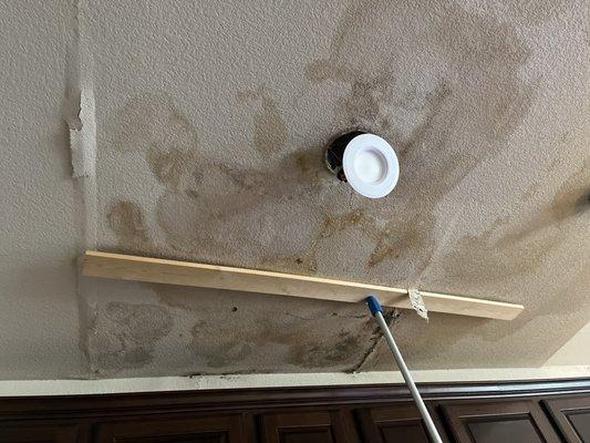 Centex Carpet & Paint