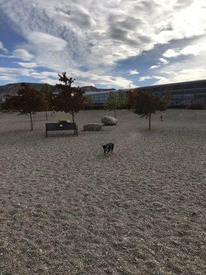 She's just cute so.. yeah photo