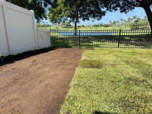 Sod Installation