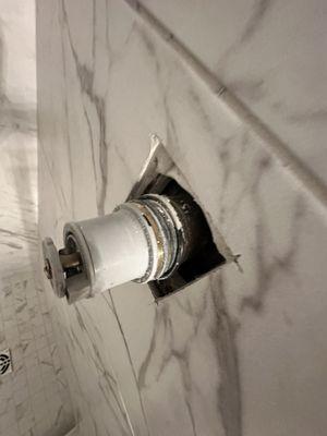 Bamas Best maintenance