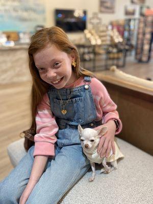 Holy Land Books & Gifts