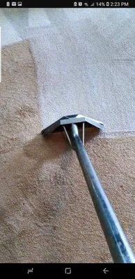 U S A Maid and Carpet Cleaning