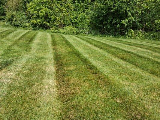 Lakeshore Landscapes & Excavation