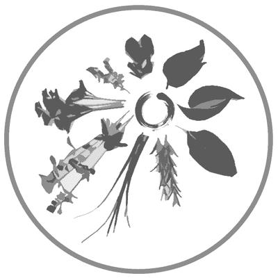 Chinese Herbal Medicine