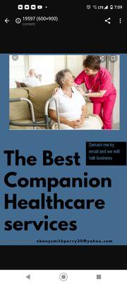 The Best Companion Healthcare Services