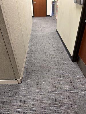 Elite Pro Floor Care