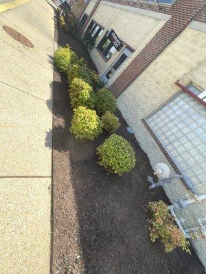 Webb’s Ground Maintenance & Services