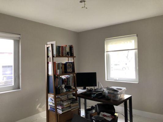 Maurizio Professional Painting