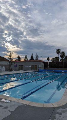 Gorgeous renovated saltwater pool