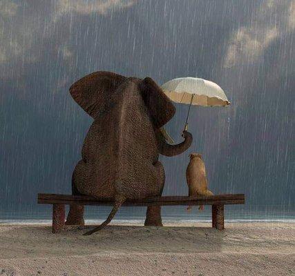 Oregon Psychiatric Partners