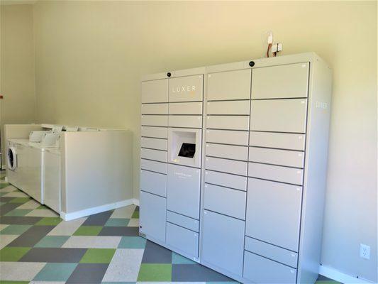 Shadowtree Apartments