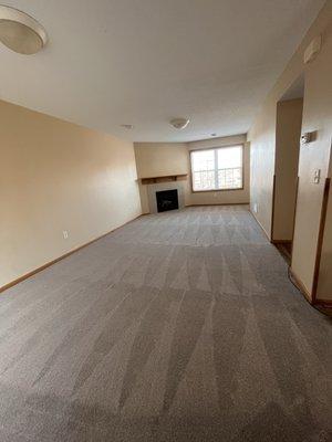 Citrus & Sage Cleaning and Organizing