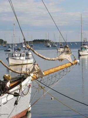 Beth Gindel - The New England Real Estate Company