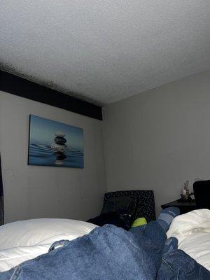 Mold appears to be on ceiling propitiating from the outer wall. Indication of roof issues getting moisture in the wall.