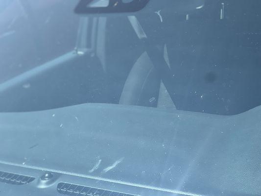 Bug splats on windshield