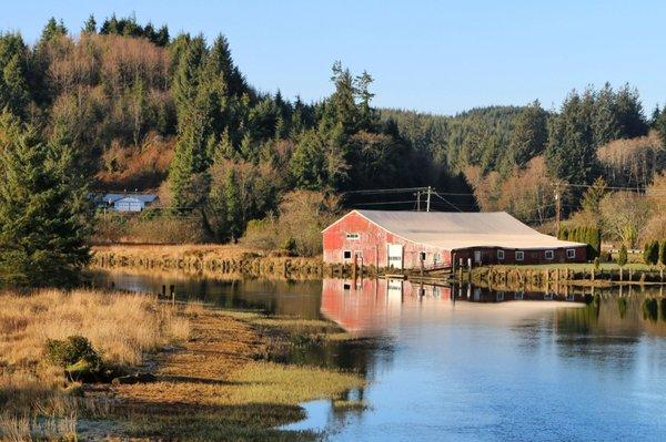 Overlooking the Trask River... (March 17, 2019)