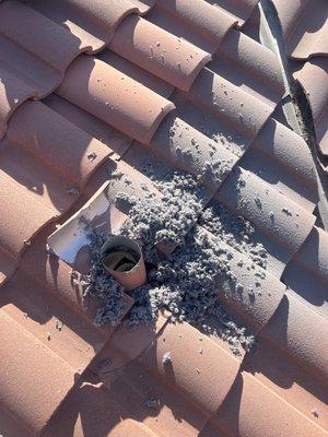 Rooftop Dryer Termination Vent Cleaning