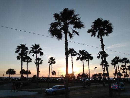 Premier Construction Services