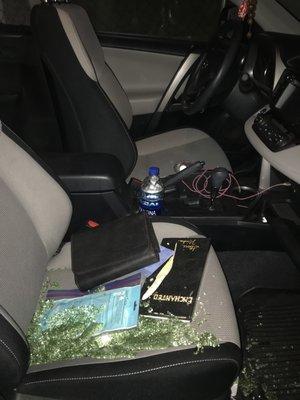 Stellar Auto Glass & Tint