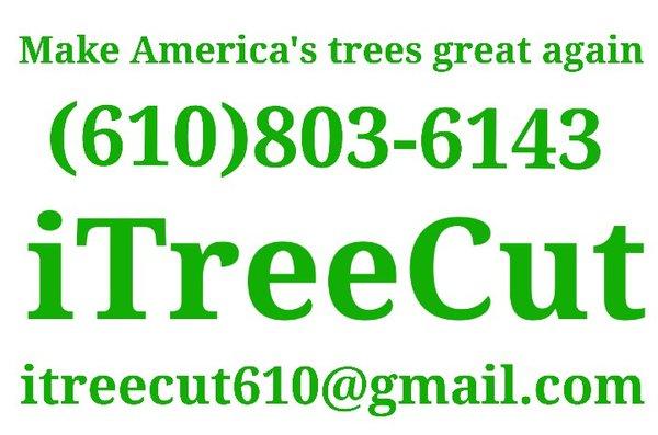 iTreeCut