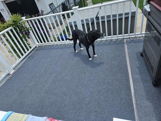 Mohawk indoor/outdoor carpet bound at the customer's house. Style Puma color Gray Flannel