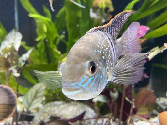 Sunset Pet & Supplies