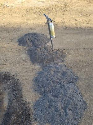 Gopher Removal and Pest Control - Catch