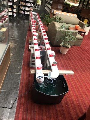 Mississippi County Literacy Council Inc