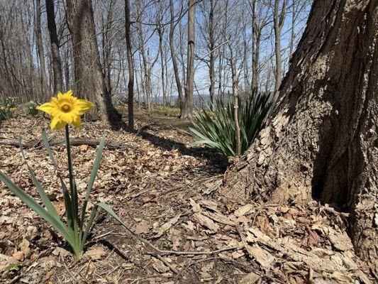 Palisades Interstate Park Commission