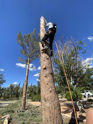 Padilla Home Service