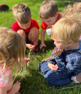 Tiny Tree Academy