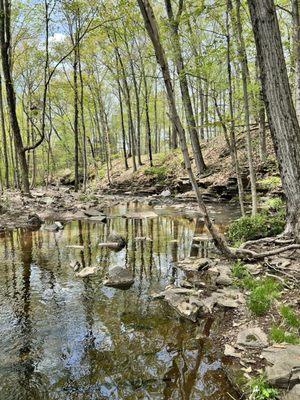 Is this really our town??