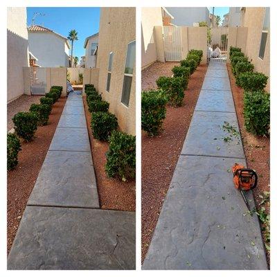 Nice Garden Landscape