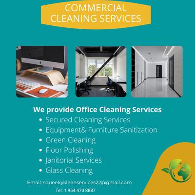 Squeeky Kleen Services