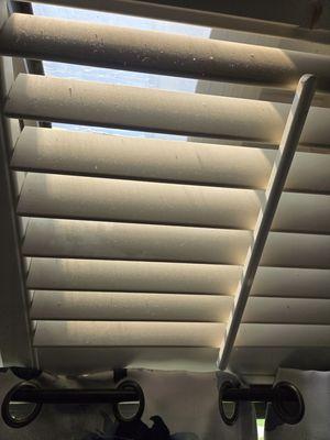 Baldera's Cleaning Services